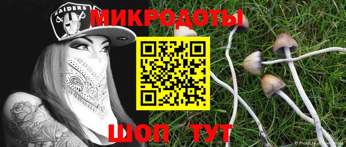 Галлюциногенные грибы Psilocybine cubensis Ногинск