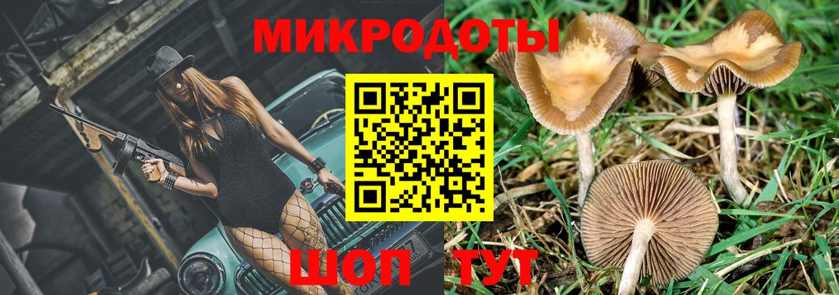 Галлюциногенные грибы Magic Shrooms  Псилоцибиновые грибы Psilocybe  Вход с VPN  Ногинск 